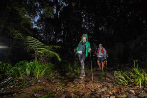 BIB: 
                            <button type="button" onclick="openModal(19245539)" class="btn btn-primary btn-sm float-right btn-popup" data-toggle="modal" data-target=".modal-high-quality">
                        <i class="fas fa-shopping-cart"></i> Add to Cart
                    </button>
                                            <button type="button" onclick="isThisMe(19245539, true)" class="btn btn-success btn-sm float-right btn-popup btn-isme hidden" data-toggle="tooltip" data-placement="bottom" title="นี่คือรูปของคุณใช่ไหม คลิกที่นี่เพื่อเอาเข้าอัลบั้ม">
                        <i class="fas fa-plus"></i> Add to album
                    </button>
                    <button type="button" onclick="isThisMe(19245539, false)" class="btn btn-warning btn-sm float-right btn-popup btn-isnotme hidden">
                        <i class="fas fa-ban"></i> Remove from album
                    </button>